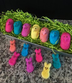 peeps #1 (2)